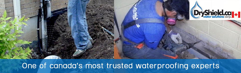 slider04-1000x600 slider04-1000x600